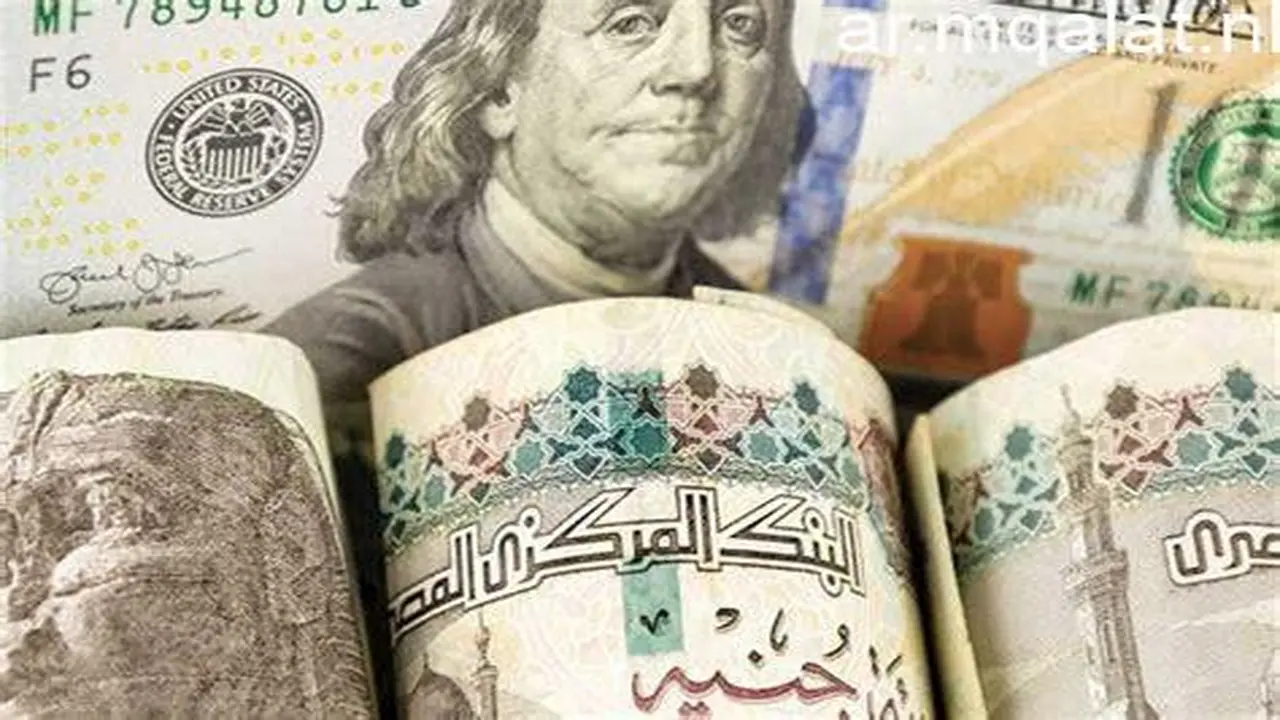 سعر الصرف اليوم.. استقرار ملحوظ في تداولات الدولار مقابل الجنيه داخل البنوك المصرية